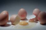 Lion Eggs - Murder Mystery